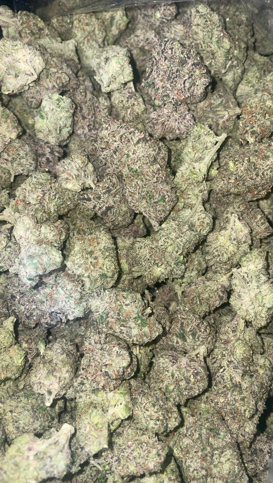 Lemon Cherry Gelato - Hybrid