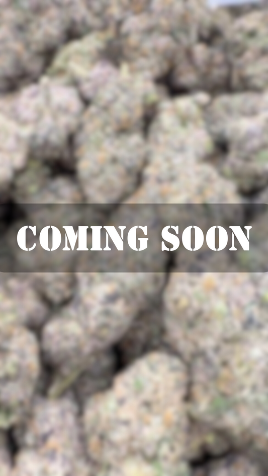 White Runtz - Hybrid - COMING SOON